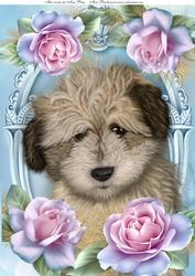 Adorable Shaggy Dog in Roses A4