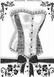 Beautiful Silver Corset A4