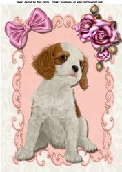 Cute Cavalier Puppy in Pink Frame A4