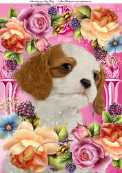 King Charles in Summer Flowers A4