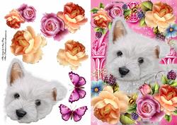 West Highland Terrier in Summer Flowers
