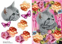 Grey Cat in Lovely Summer Flowers
