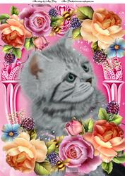 Grey Cat in Lovely Summer Flowers A4