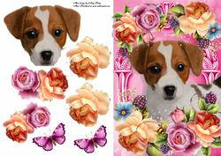 Jack Russel in Summer Flowers