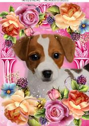 Jack Russel in Summer Flowers A4
