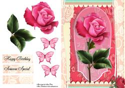 Beautiful Pink Rose