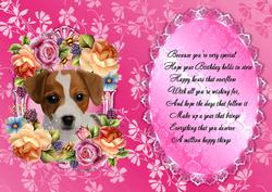 Cute Jack Russel in Bed of Flowers Insert