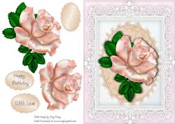 Beautiful Pale Pink Rose