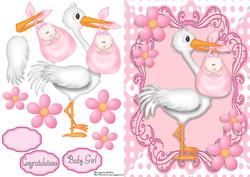 Cute Baby Girl Delivery by Stork