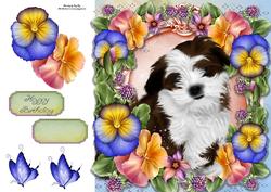 Beautiful Fluffy Dog in Pansy's 8x8