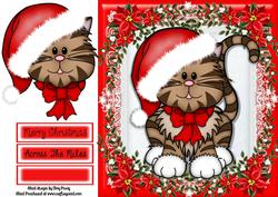 Gorgeous Cat with Santa Hat 8x8