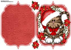 Cute Christmas Cat with Poinsetta's 8x8
