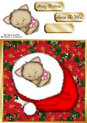 Adorable Cat Snuggled Up 8x8