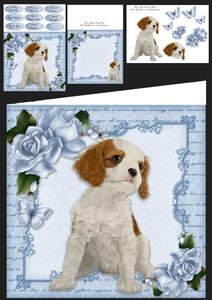 Gorgeous Cavalier with Roses 8x8 Mini Kit