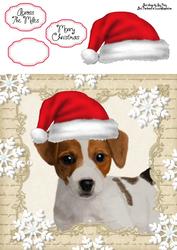 Festive Jack Russel 8x8