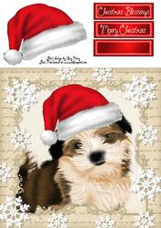 Festive Fluffy Dog 8x8
