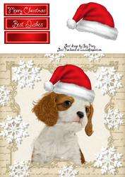 Festive King Charles 8x8