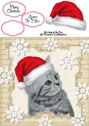 Festive Grey Cat 8x8
