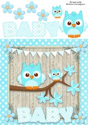 Baby Boy Owl 8x8