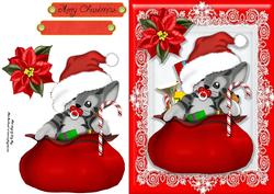 Festive Cat in Santa's Bag