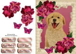 Gorgeous Labrador with Hot Pink Roses