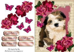 Gorgeous Shitzu in Hot Pink Roses