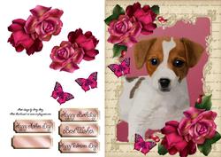 Gorgeous Jack Russel with Hot Pink Roses