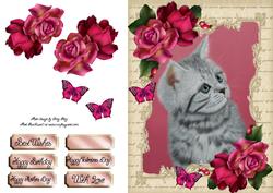 Gorgeous Grey Cat with Hot Pink Roses