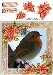 Beautiful Robin 8x8