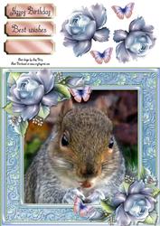 Gorgeous Munching Squirrel 8x8
