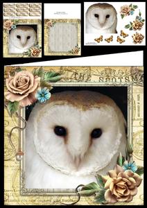 Beautiful Barn Owl 8x8 Mini Kit