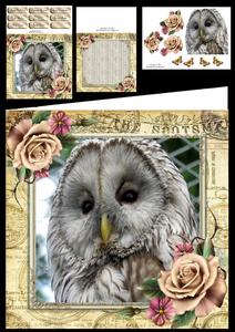 Beautiful Brown Owl 8x8 Mini Kit
