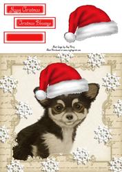 Festive Chihuha 8x8