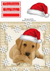 Festive Labrador 8x8