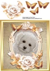 Beautiful Bichon Frise with Cream & Gold Roses