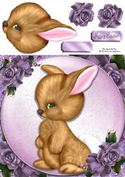 Gorgeous Brown Bunny 8x8