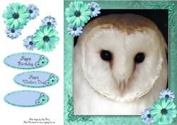 Gorgeous White Owl 8x8