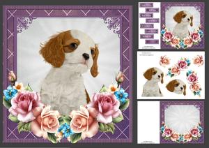 Cavalier with Summer Roses 8x8 Mini Kit