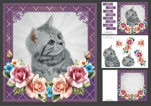 Grey Kitten with Summer Roses 8x8 Mini Kit