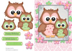 Gorgeous Owls