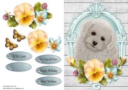 Cute Bichon Frise with Yellow Pansys