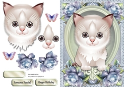 Funny White & Grey Cat