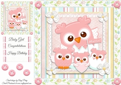 Baby Girl Owls 8x8 