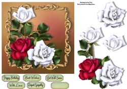 Beautiful white & red roses 7x7