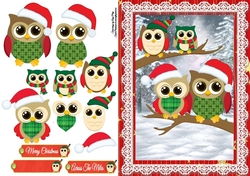 Adorable Christmas Owls