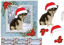 Cute Tea Cup Puppy 7x7