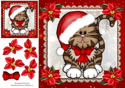 Gorgeous Santa Cat 8x8