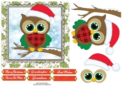Cute Owl WIth Tartan Belly 7x7