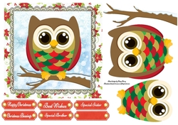 Adorable Colourful Owl 7x7