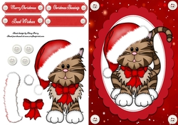 Gorgeous Santa Cat